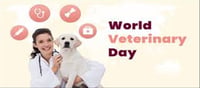 World Veterinary Day: Common eye issues in your pets...